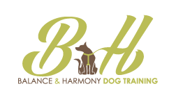 Balance & Harmony Dog Training